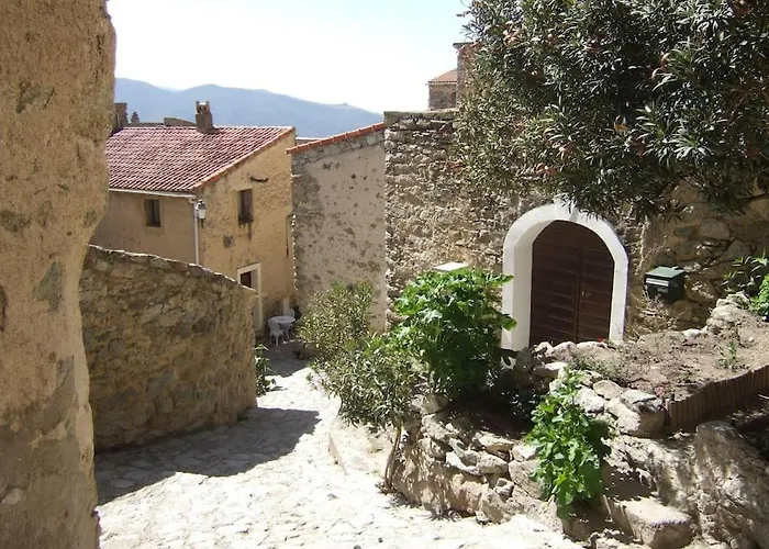 Vos Vacances A Lama France Corse